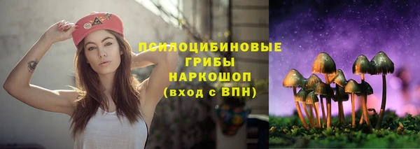 круглые Алзамай