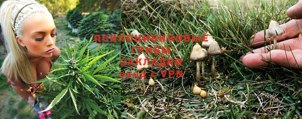 соль курить ск Алексин