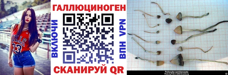 Галлюциногенные грибы Magic Shrooms Бийск