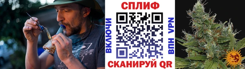 закладка Бийск Каннабис MAZAR